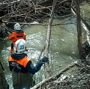 Спасатели разобрали затор из деревьев в русле 2-й Ельцовки